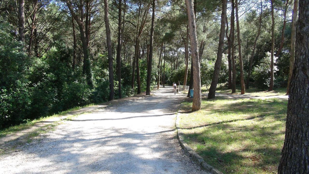Apartments Amalia Rovinj Eksteriør bilde